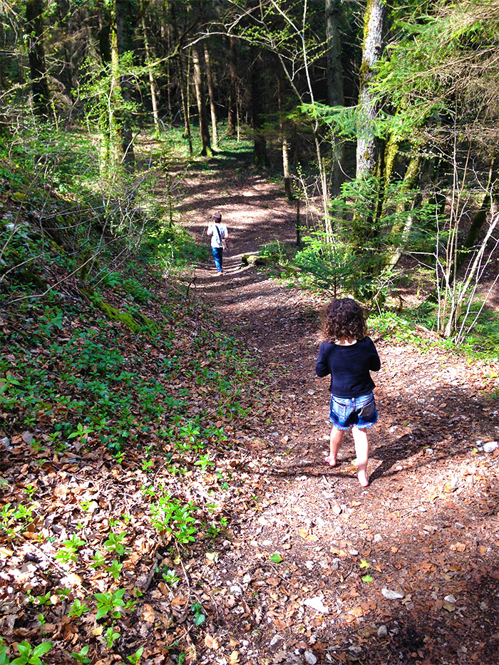 FORÊTUne enfance sans école - Nouvelles Racines