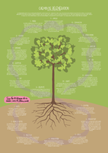 Poster Chemin de régénération A4