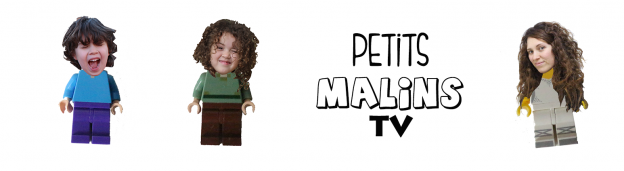 bandeau-petits-malins-tv-624×171 bandeau-petits-malins-tv-624×171Notre chaîne YouTube dédiée aux enfants - Nouvelles Racines