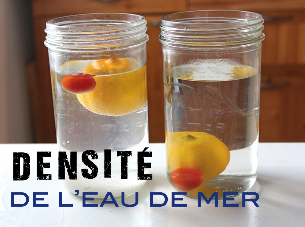 densité-de-leau-de-mer-1024×761Comprendre la densité de l’eau de mer - Nouvelles Racines
