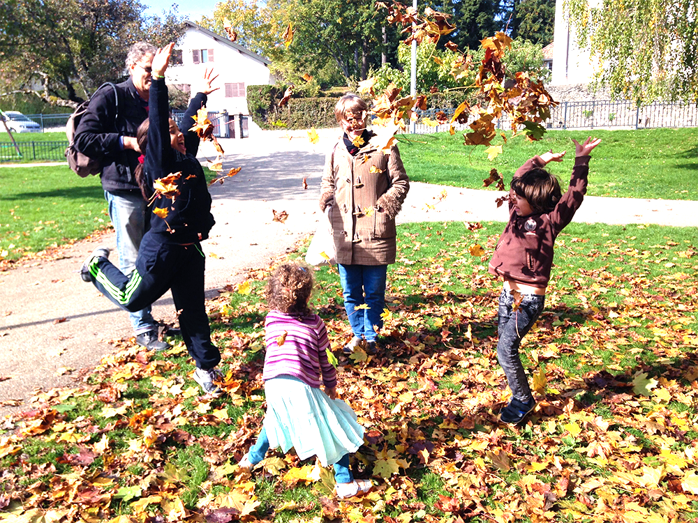 feuilles-mortesSe rouler dans les feuilles mortes - Nouvelles Racines
