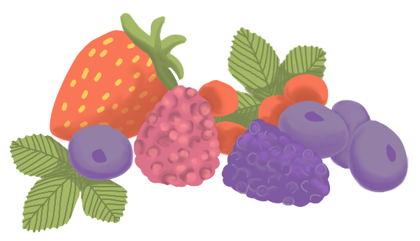 fruits-rougesComment je me nourris, en pratique - Nouvelles Racines