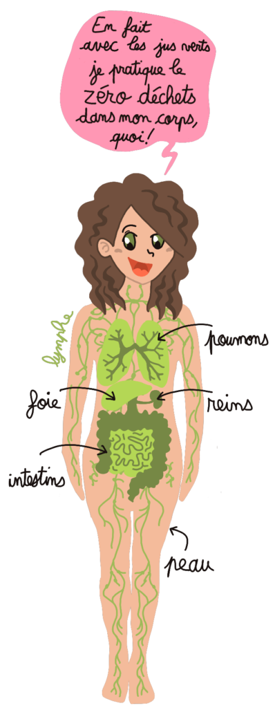 lymphe naturopathieEn théorie - Nouvelles Racines