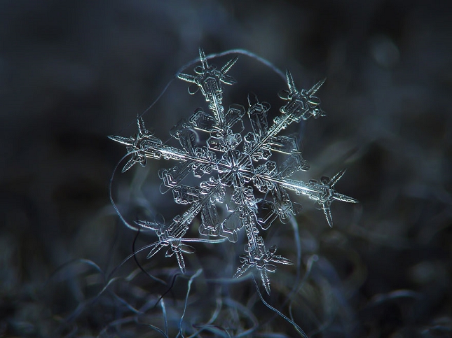 macro-photographie-flocon-de-neige-6Hexagones – Flocons de Neige - Nouvelles Racines