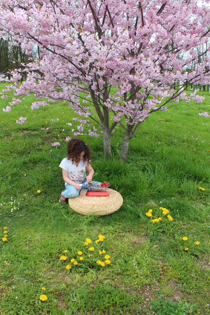 masse-balance-arbre-fleur-683×1024IEF : “Mon enfant ne veut pas travailler” - Nouvelles Racines