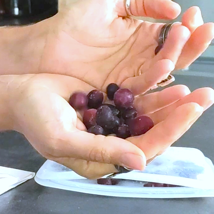 raisins glacés carréRaisins Glacés - Nouvelles Racines